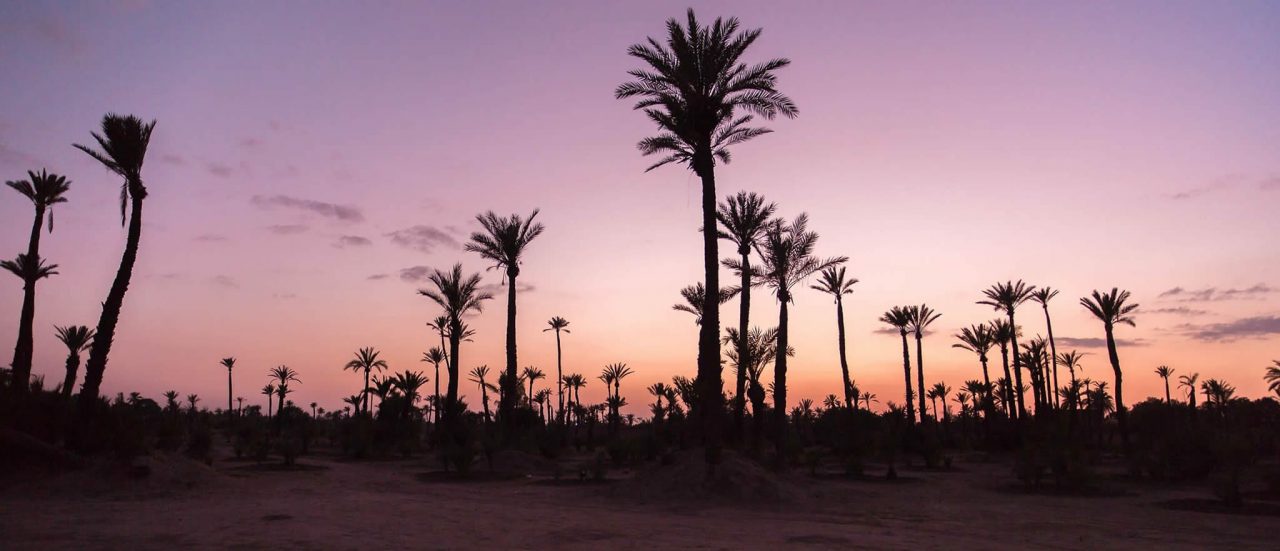 Sans titre-5 https://medina-travel.com/wp-content/uploads/2019/06/Sans-titre-5-1280x551.jpg